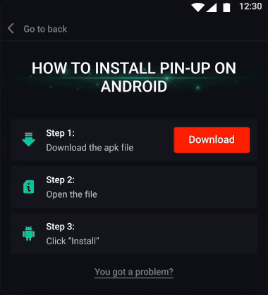 Pin-Up app installation