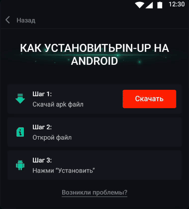 Установка приложения Pin-Up