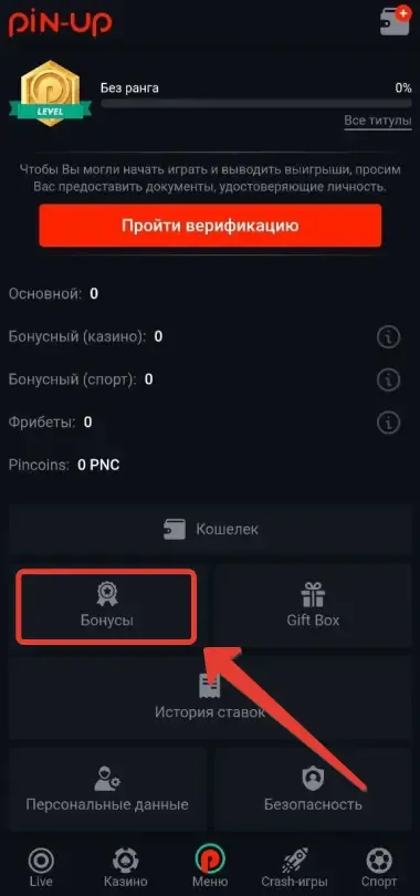 Activating a Pin-Up Casino Promo Code — Step 3. Select Bonuses